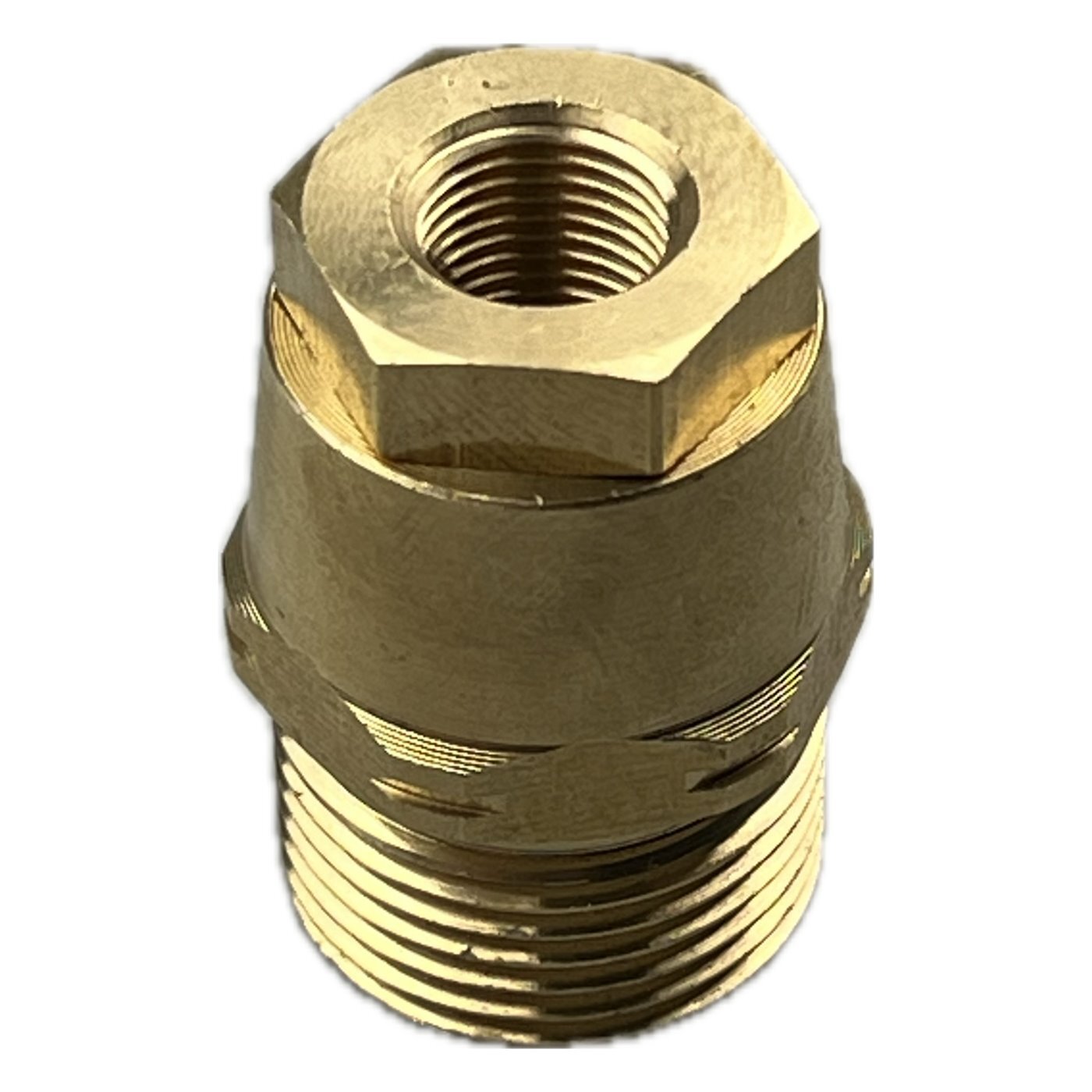Hochdruck Adapter für Kärcher M21 AG auf 1/8" IG Schlauchverbinder WAP Alto3